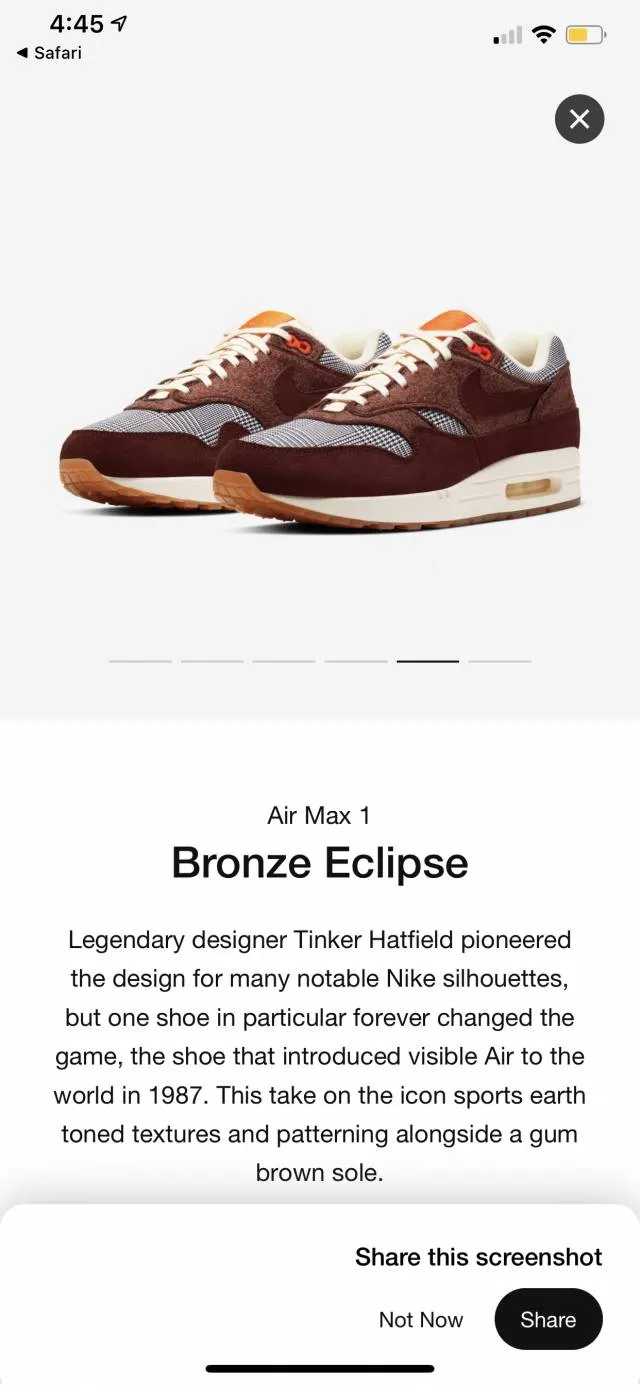 Nike air max 1 bronze eclipse