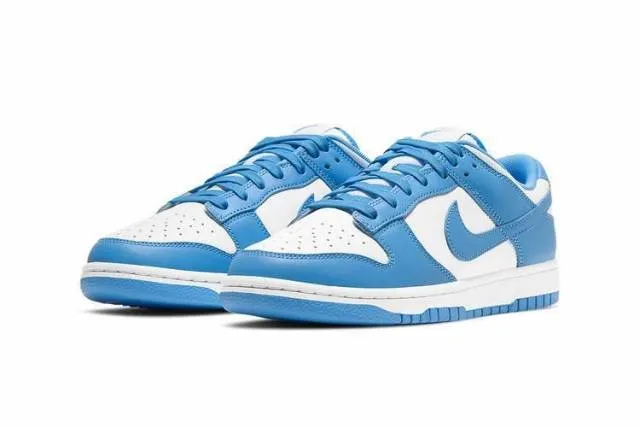 Nike dunk low 